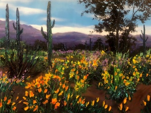 Desert Song